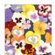 Pacote Com 20 Guardanapos De Papel 33x33cm Flower Shop